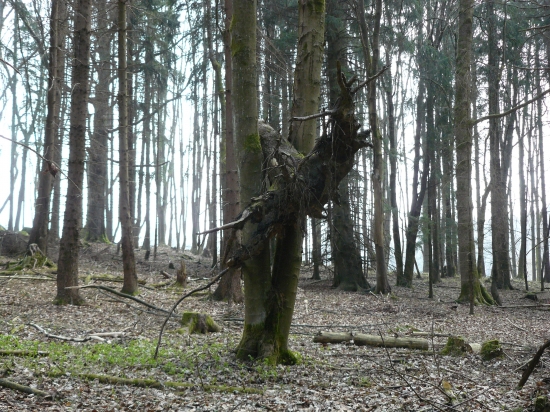 jak se tam asi dostal?