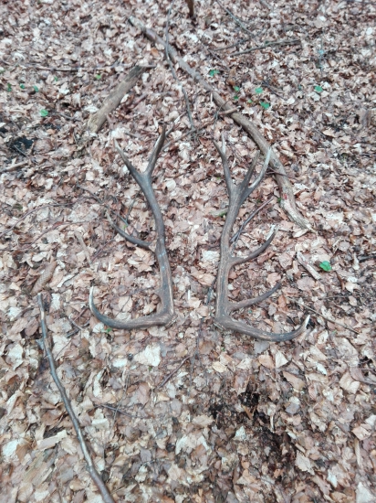 Letošní nejlepší