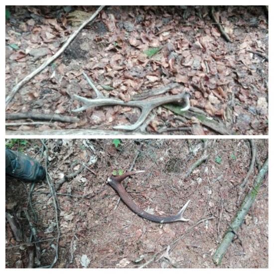 Tento týden v práci.