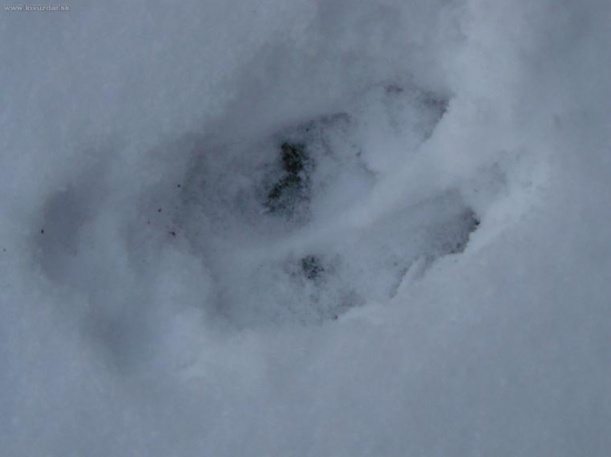 chvili predemnou prosli