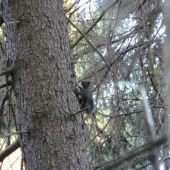ta mě vyhnala z posedu po 10 minutach