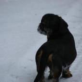 Po česko-slovenských rodičích a moje nej
