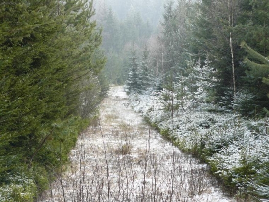 železná opona po 20 letech