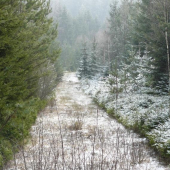 železná opona po 20 letech