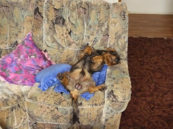 nerušit přemíšlim