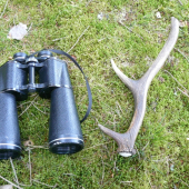 sika