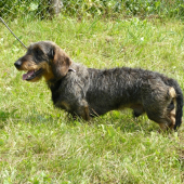 osmnacti na msblj v Galante 2*davič72-64bodu