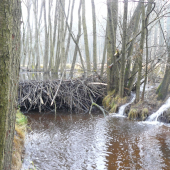 a velka hraz 100 m po proudu