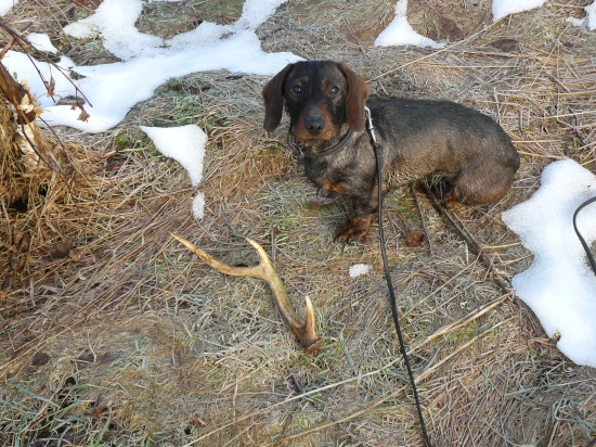 včerejši prochazka z kikinou se vyplatila