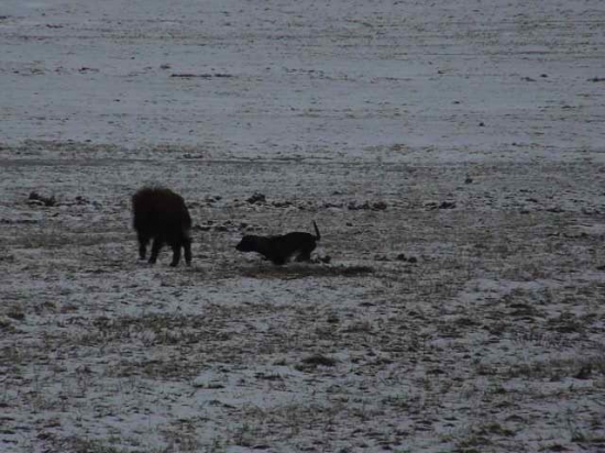 Jen počkej až tě doženu.