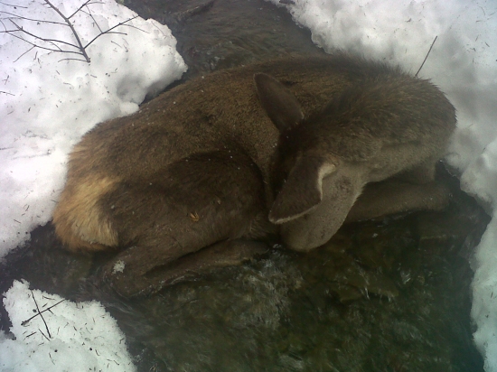 Ako keby oddychovala :(((