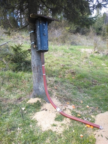 Krmny bubon inak ....