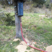 Krmny bubon inak ....