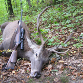 KEĎ ZASPIEVA SAUERKA PO DRUHÉ.  ,,DIANA BOLA DNES NA MOJEJ STRANE