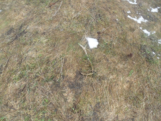 moj prvi tochto roku