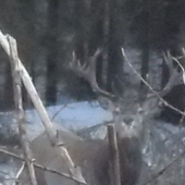 a tu je este s oboma den pred najdenim prveho