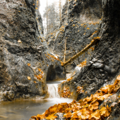 jesenná výzdoba Prírody