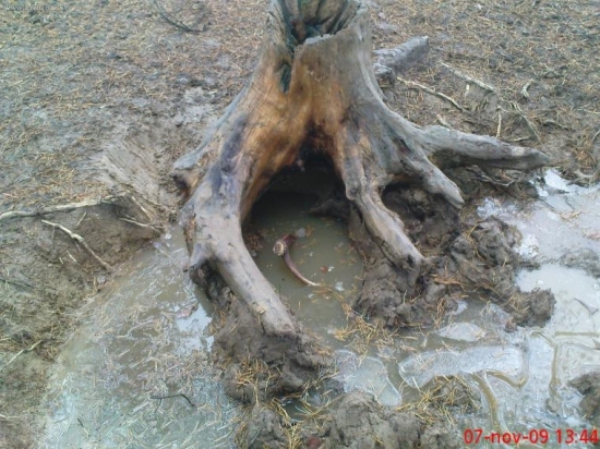 na dnesnej prechadzke:D