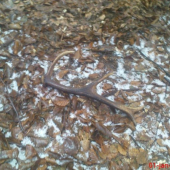 moj prvi toho roku :D