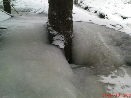 co dokaze priroda :)