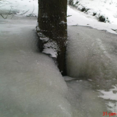 co dokaze priroda :)