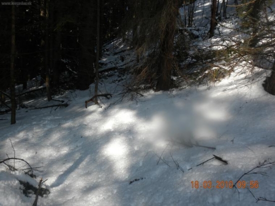 a tu je druhy par ku tomu prvemu tak isto3kg