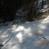 a tu je druhy par ku tomu prvemu tak isto3kg