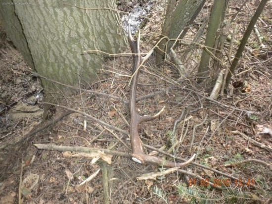 dnes 10 torak skorop som ho nezbadal