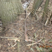 dnes 10 torak skorop som ho nezbadal