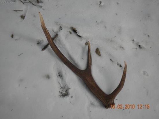 sestorak 2,3 kg, dlska 95 cm a obiem ruzice 23