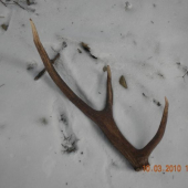 sestorak 2,3 kg, dlska 95 cm a obiem ruzice 23