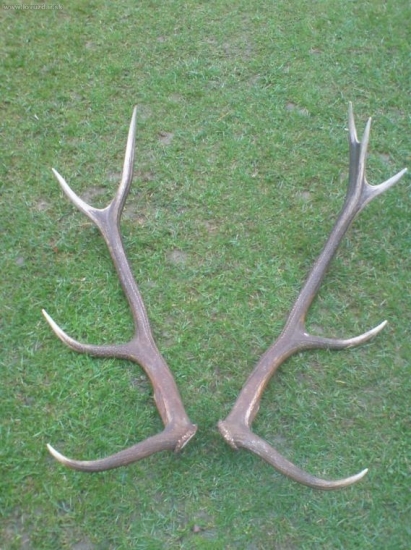 a us su  spolu asi 3 kilometre jeden od druheo