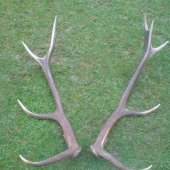 a us su  spolu asi 3 kilometre jeden od druheo