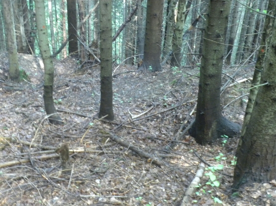 k mojim 18 narodkam sa zadarilo :D