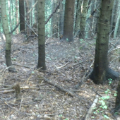 k mojim 18 narodkam sa zadarilo :D