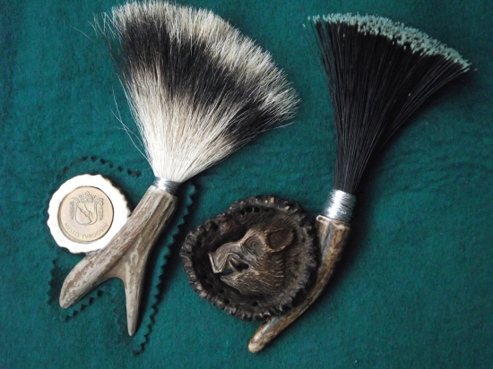 Diviačia štetka vedľa jazvečej