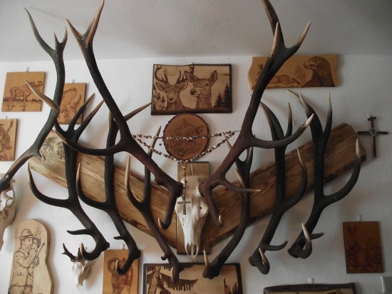 Trochu z vývoja počas jeho premien.