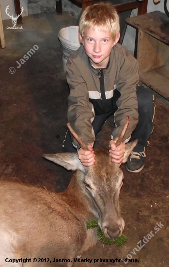 Jelienok z cigáňovej a Môj Junáčik