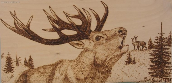 Ruja v mojom poňatí