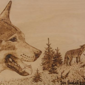 Canis lupus