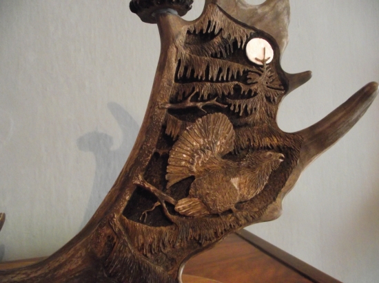 Hlucháň na lopate.