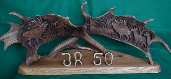 Jelenia ruja k jubileu