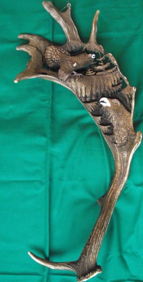 Hlucháne v korunách stromov.