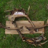 Na brehu,na vode,nad vodou,pod vodou.