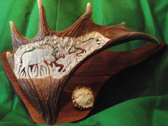 Poľovačka na losa.