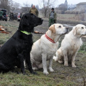 retrievrie komando