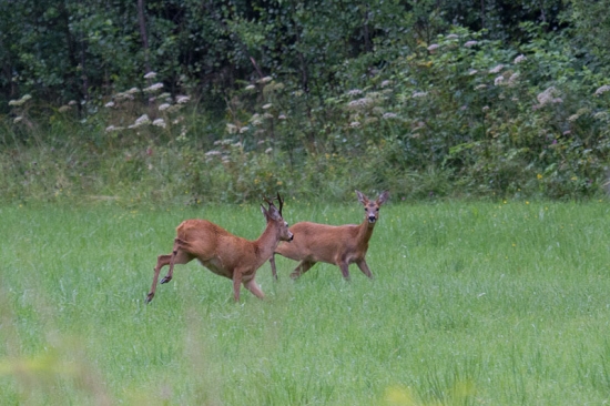 drobnosť z archívu proti zimnej depresii