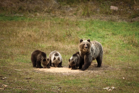 Happy family