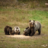 Happy family