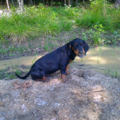 Ares